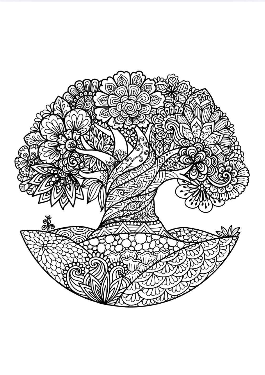 Bold & Easy Floral Coloring Book for Adults: Printable Flower Coloring Pages for Stress Relief & Relaxation