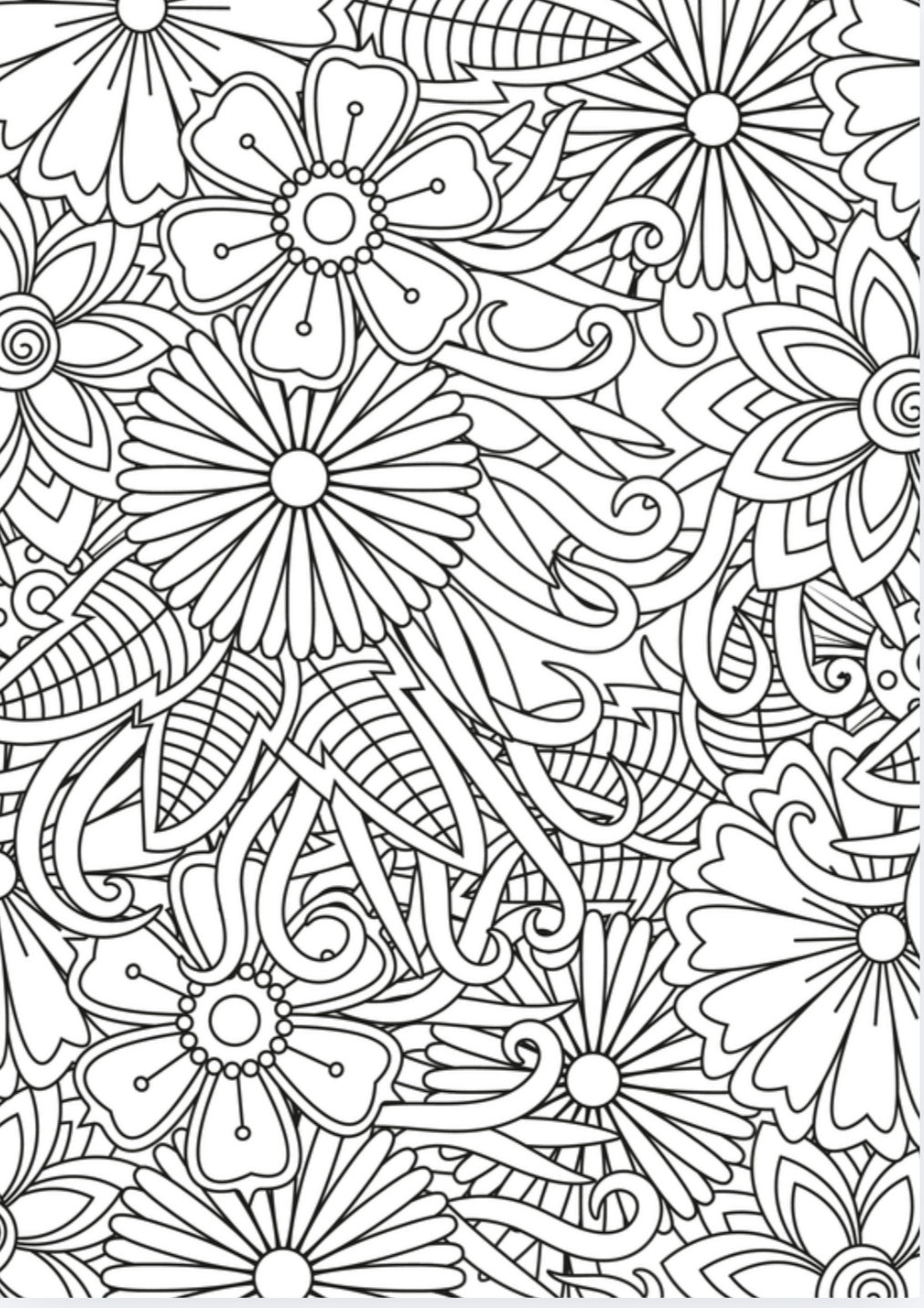 Bold & Easy Floral Coloring Book for Adults: Printable Flower Coloring Pages for Stress Relief & Relaxation