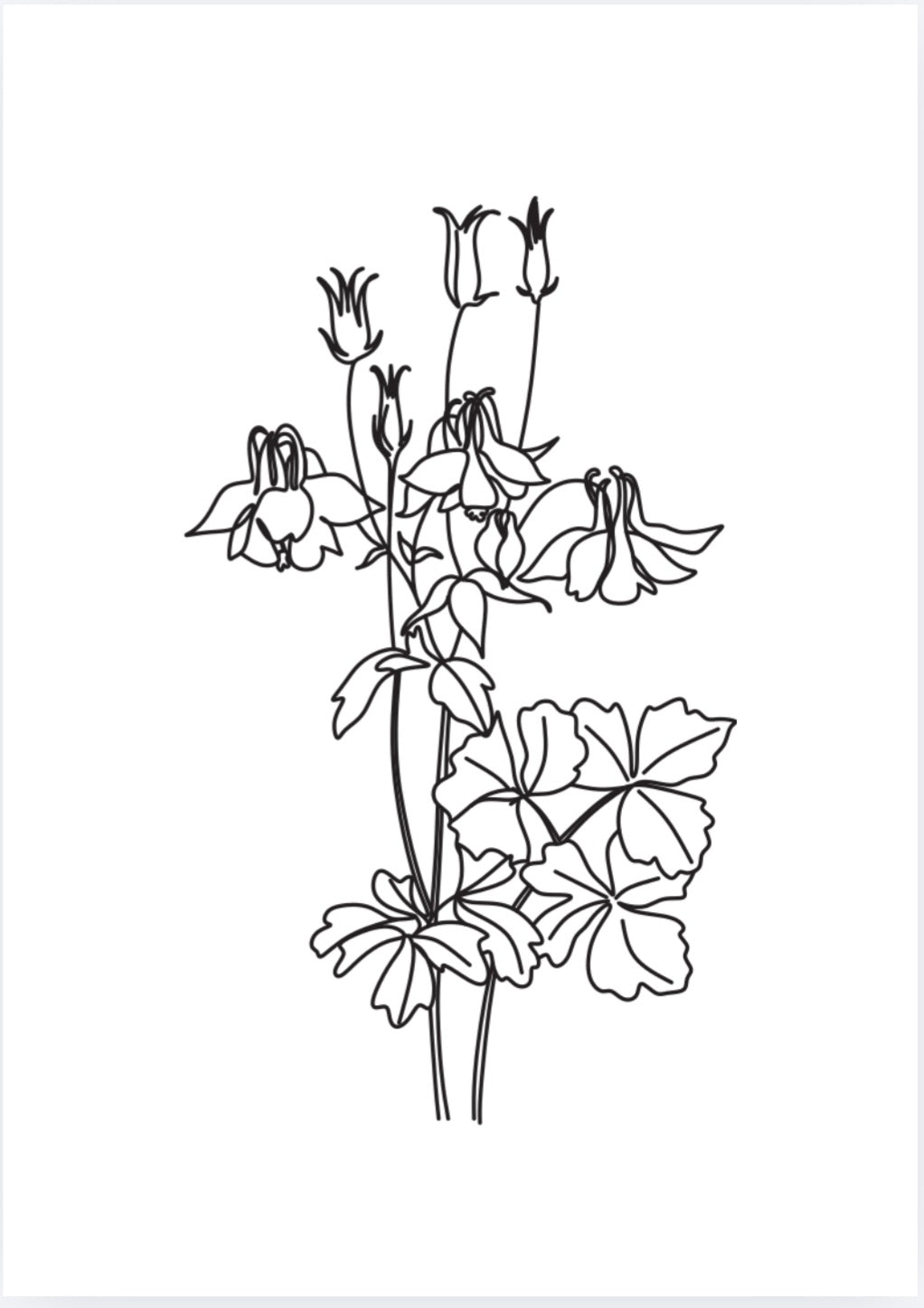 Bold & Easy Floral Coloring Book for Adults: Printable Flower Coloring Pages for Stress Relief & Relaxation